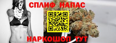 индика Краснознаменск