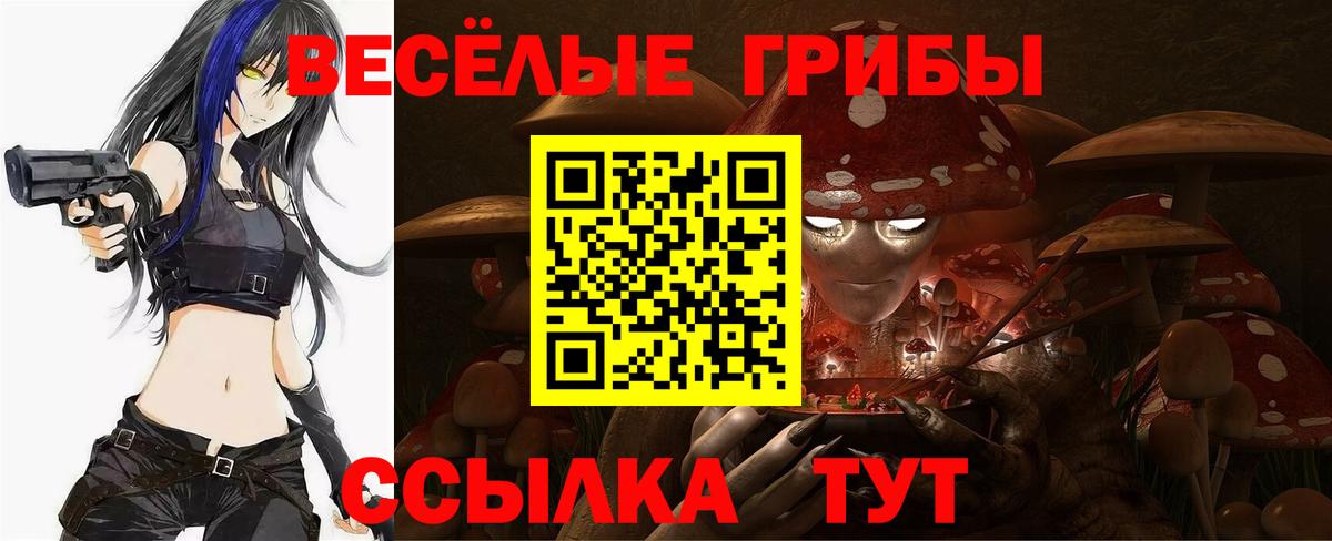 Галлюциногенные грибы Magic Shrooms Ейск